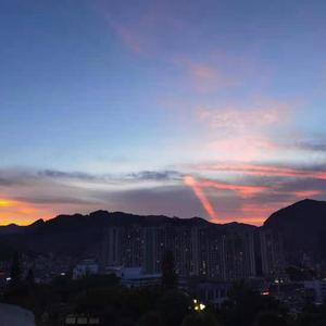 日本老太妇网站
